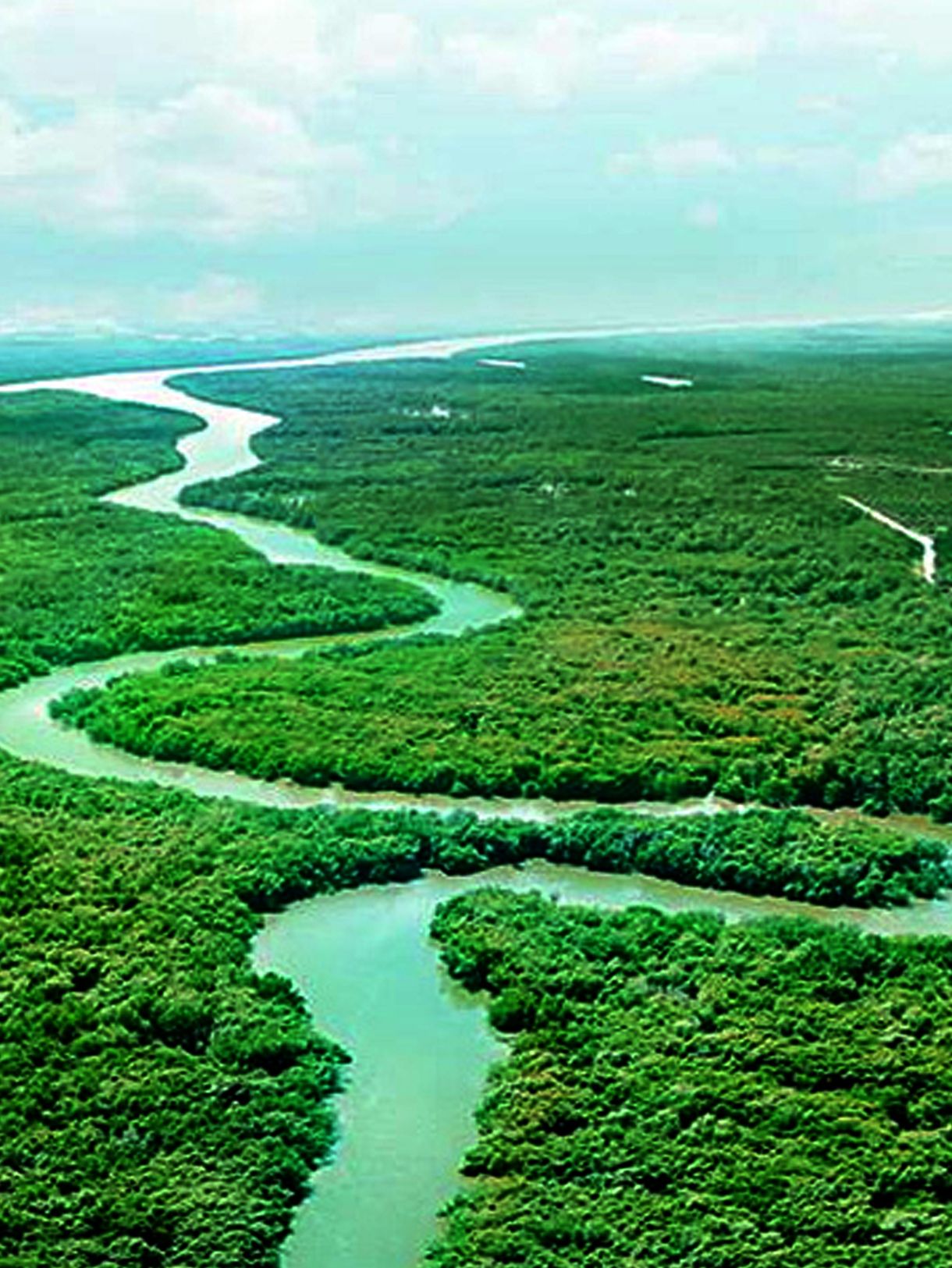 Tapak Ramsar Laman Utama 2